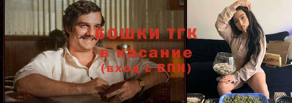 ешки Арсеньев