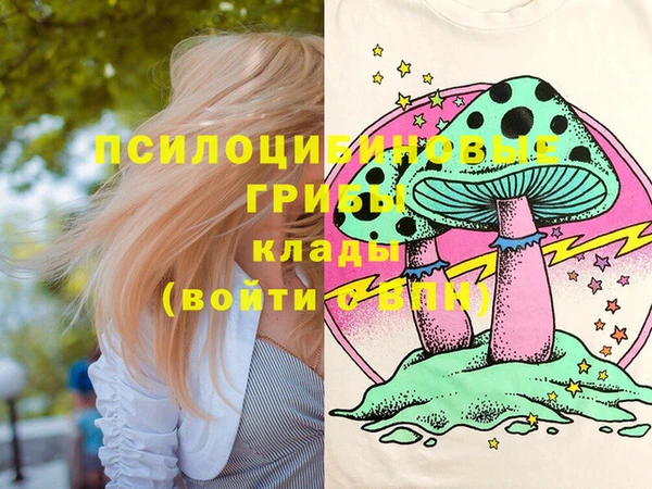 не бодяженный Аркадак