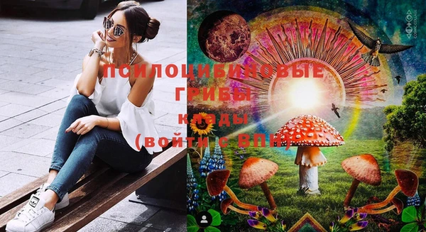 прущие крисы Балахна